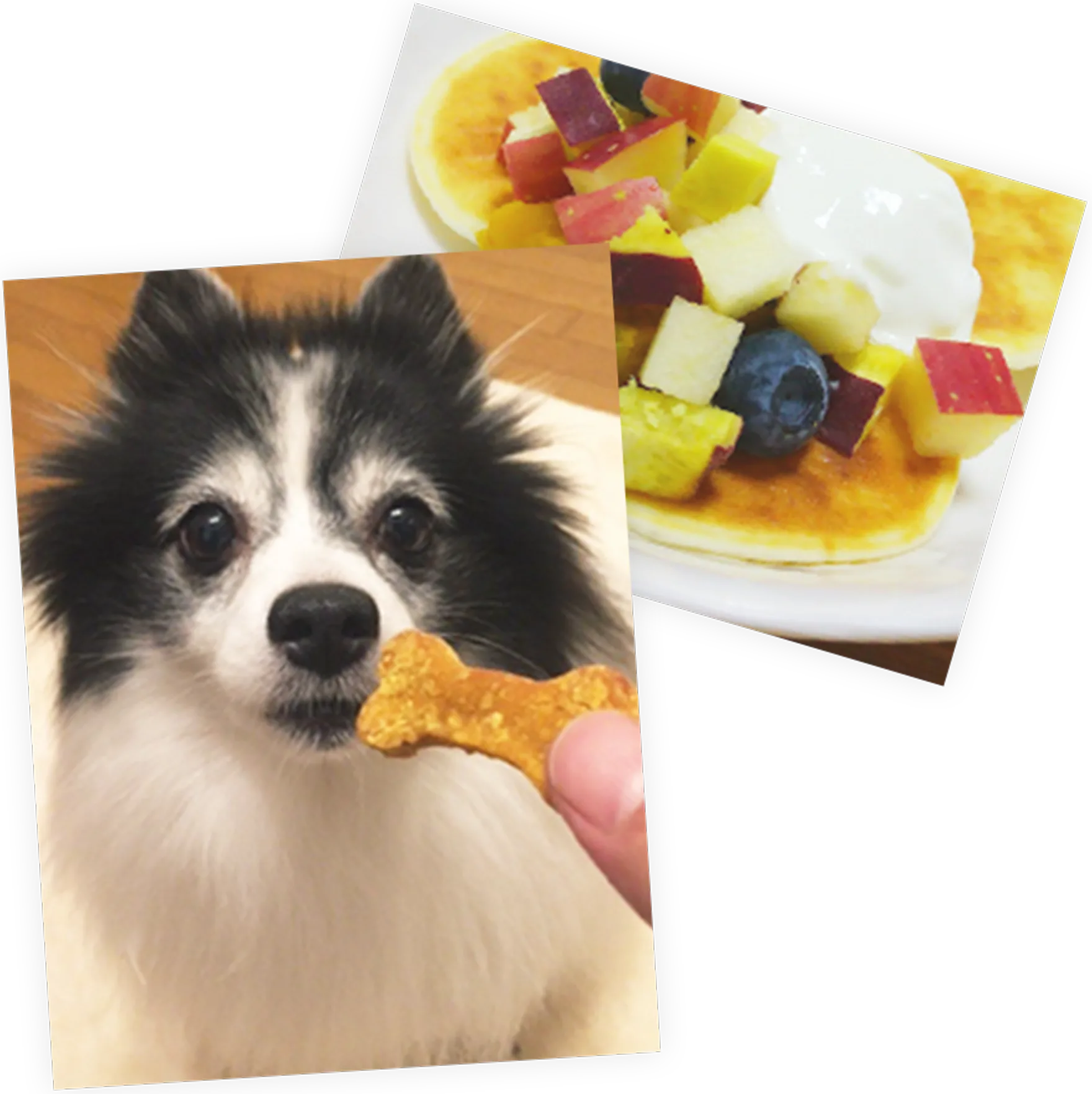 Cher!WAN 国産・無添加の犬用おやつ